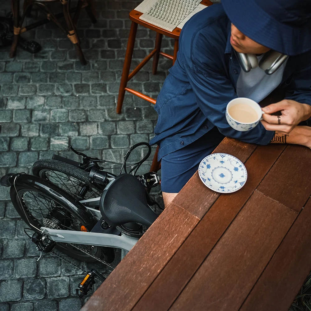 Bicicletta elettrica pieghevole Fiido D11 - immagine 10