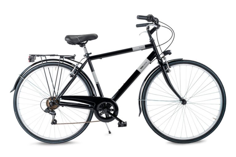 Bicicletta da passeggio Airbici FUSION Man - 6 velocità, ruote 28"