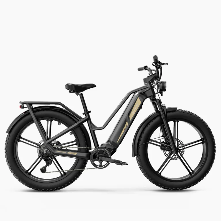 Bicicletta elettrica Fiido Titan Robust Cargo con sensore di coppia e certificazione UL