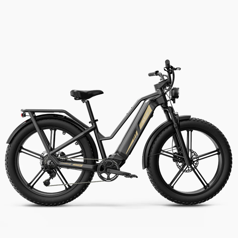 Bicicletta elettrica Fiido Titan Robust Cargo con sensore di coppia e certificazione UL