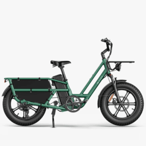 Bicicletta elettrica cargo Fiido T2 Longtail