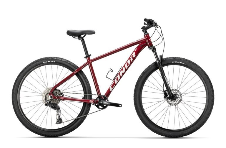 Mountain Bike Conor 950