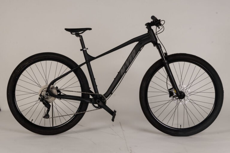 Bicicletta Nv 910, mountain bike con ruote da 29", 10 velocità, freni a disco idraulici
