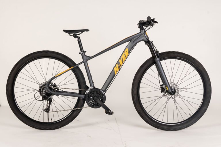 Bici MTB Velomarche NV 908, mountain bike con ruote da 29", 24 velocità, freno a disco idraulico