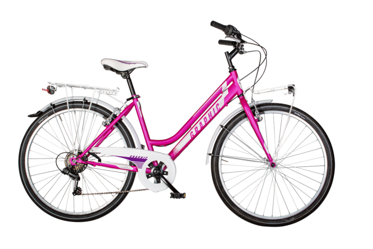 Bicicletta per Bambini Airbici GRAPHIC CITY LADY 26" - 6 Velocità