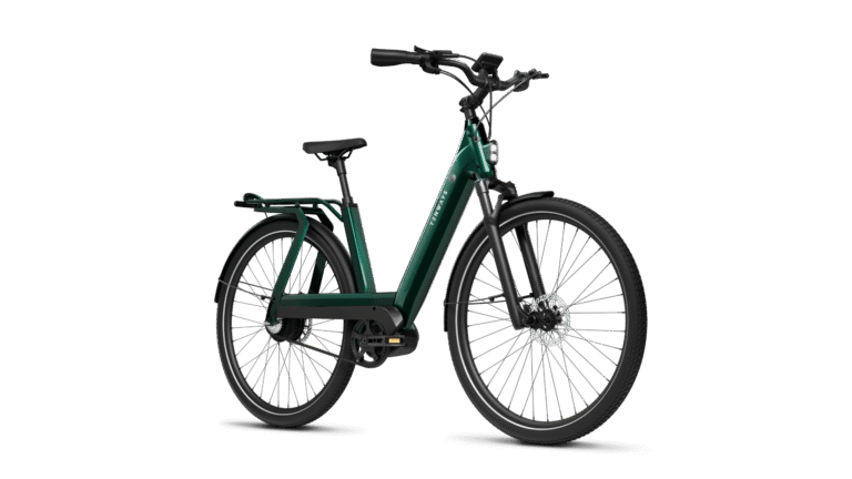 Bici elettrica TENWAYS AGO T