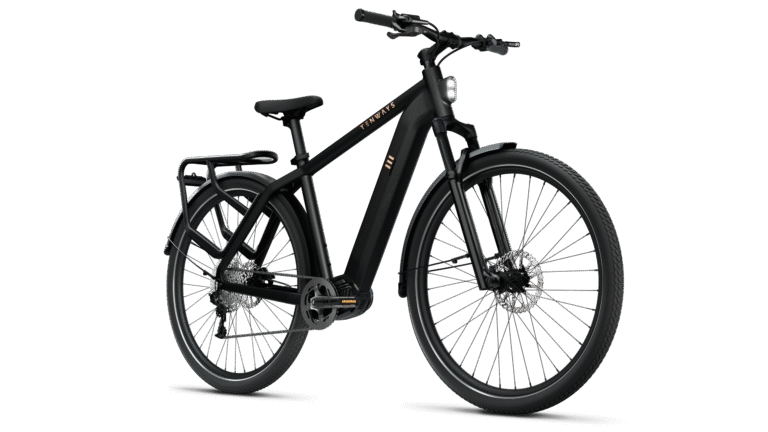 E-bike TENWAYS AGO X