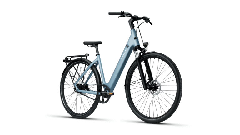 Bicicletta elettrica TENWAYS CGO800S