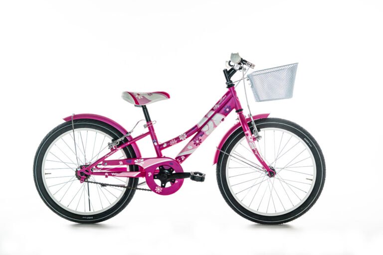 Bicicletta Airbici Papillon Lady 20¨
