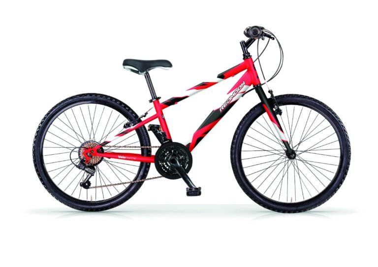 MTB Airbici Red Moon 24" 18 velocità