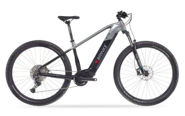 Bicicletta elettrica X1S - BRINKE
