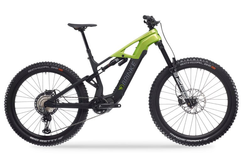 Bicicletta elettrica Carbon Race XXR - BRINKE