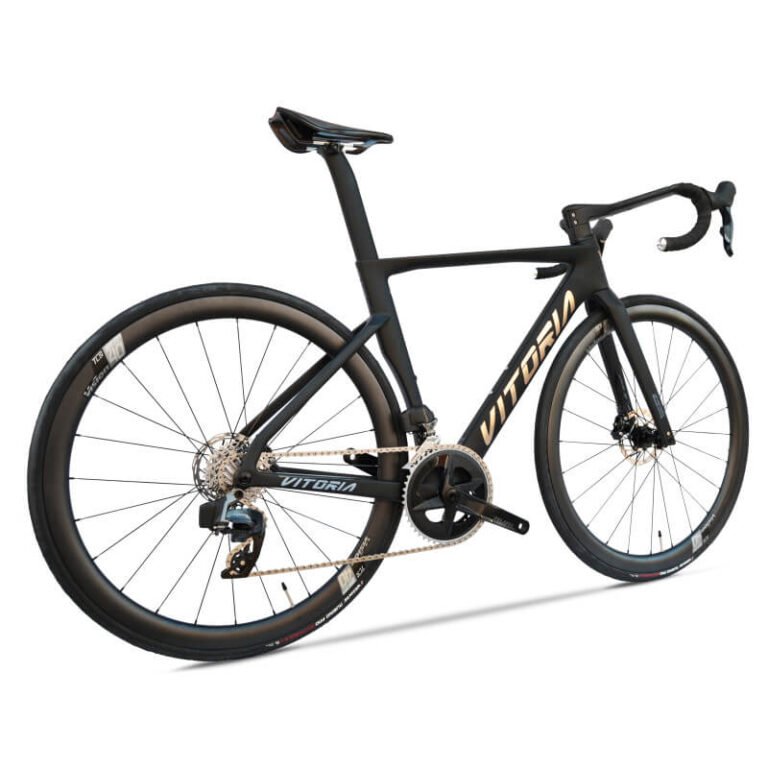 Bici Vitoria ART RIVAL AXS Black