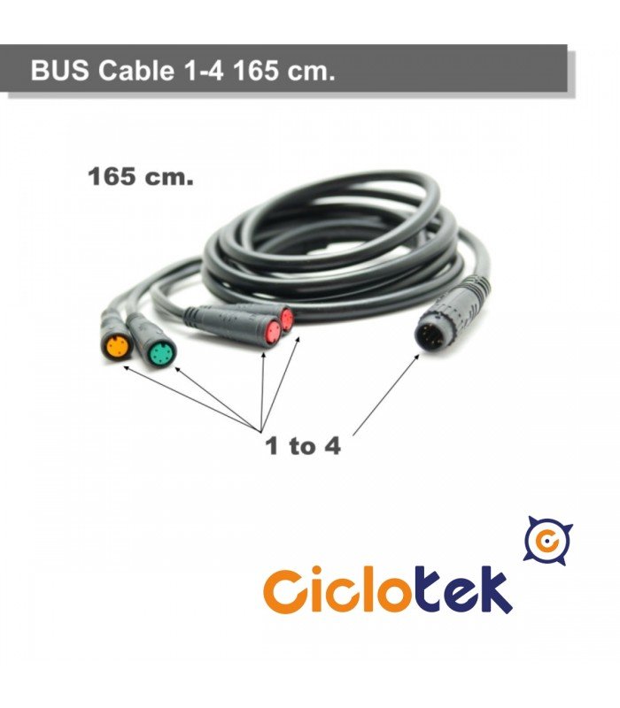 Cavo BUS 1-4 165 cm.