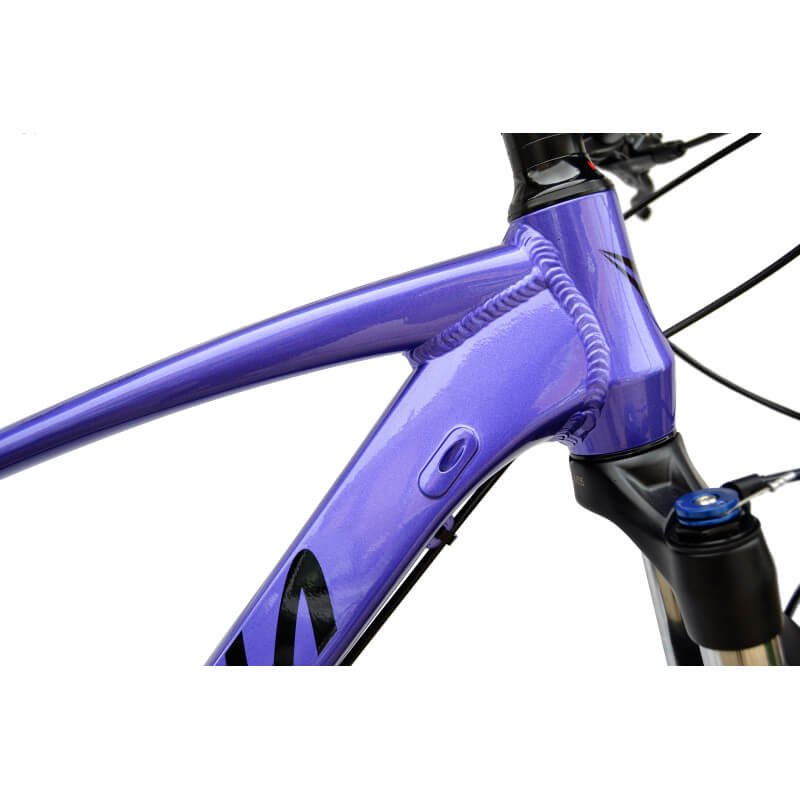 Bicicletta Vitoria ERGOS 29 SPORT 12V - immagine 3