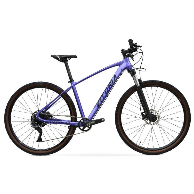 Bicicletta Vitoria ERGOS 29 SPORT 12V