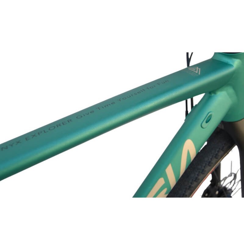 Bicicletta Vitoria NYX EXPLORER 1X12 EAGLE green - immagine 2