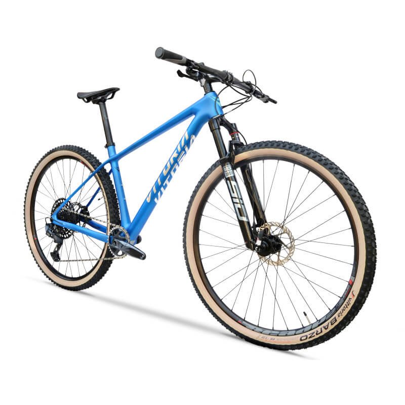 Bicicletta Vitoria SIOUX PRO LUNAR